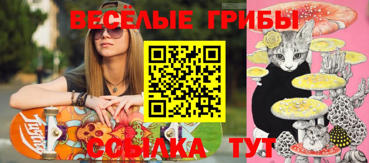 Псилоцибиновые грибы Psilocybine cubensis Старая Купавна
