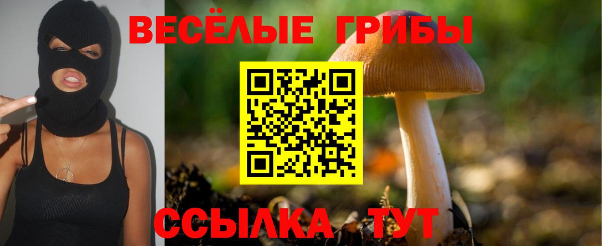 Псилоцибиновые грибы прущие грибы  Вход с VPN  Старая Купавна 